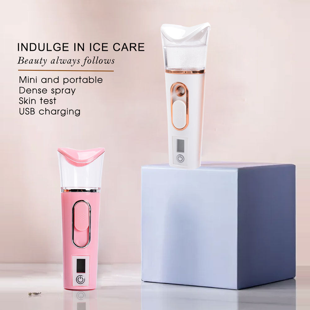 2 in1 Portable Mini Facial Steamer & Skin Test